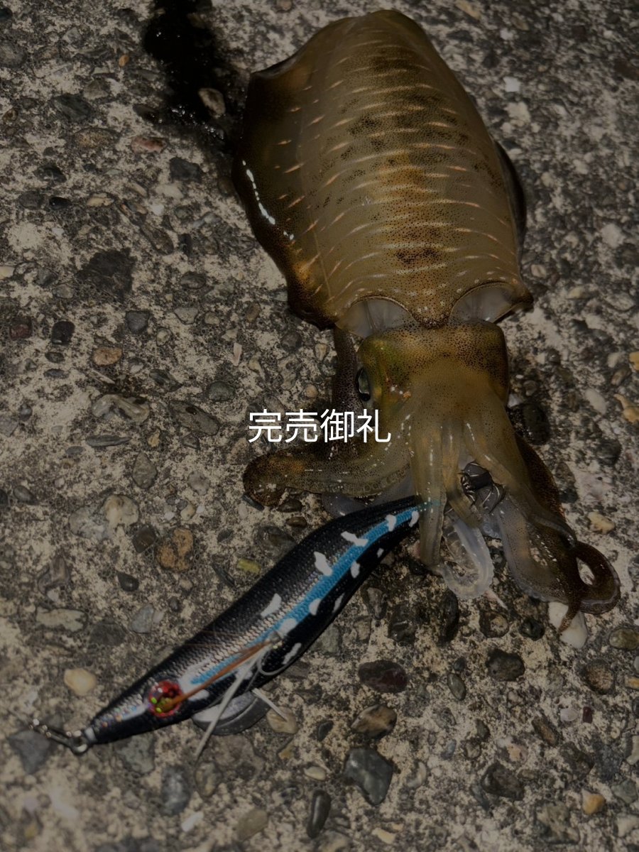 画像5: WILDCHASE 3.0号RTラトル/ 斑黒龍/RED GLOW搭載[特注:EGI MANIACS] (5)