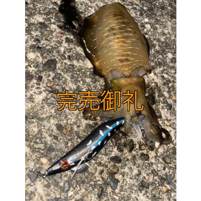 画像5: WILDCHASE 3.0号RTラトル/ 斑黒龍/RED GLOW搭載[特注:EGI MANIACS]