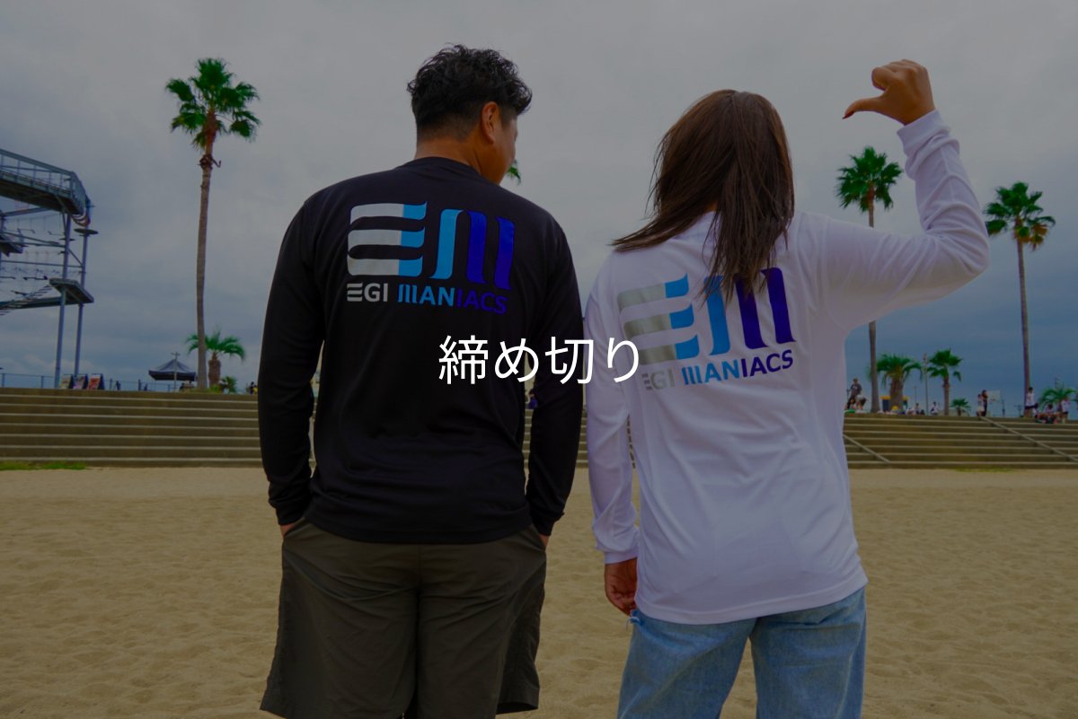 画像4: 受注生産  EGI MANIACS 『グラデーション』綿・シルキードライロンT (4)