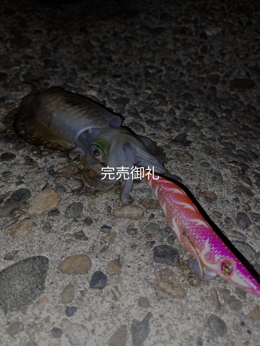 画像4: WILD CHASE 3.0号RTラトル モンスターオレンジ[特注:EGI MANIACS] (4)