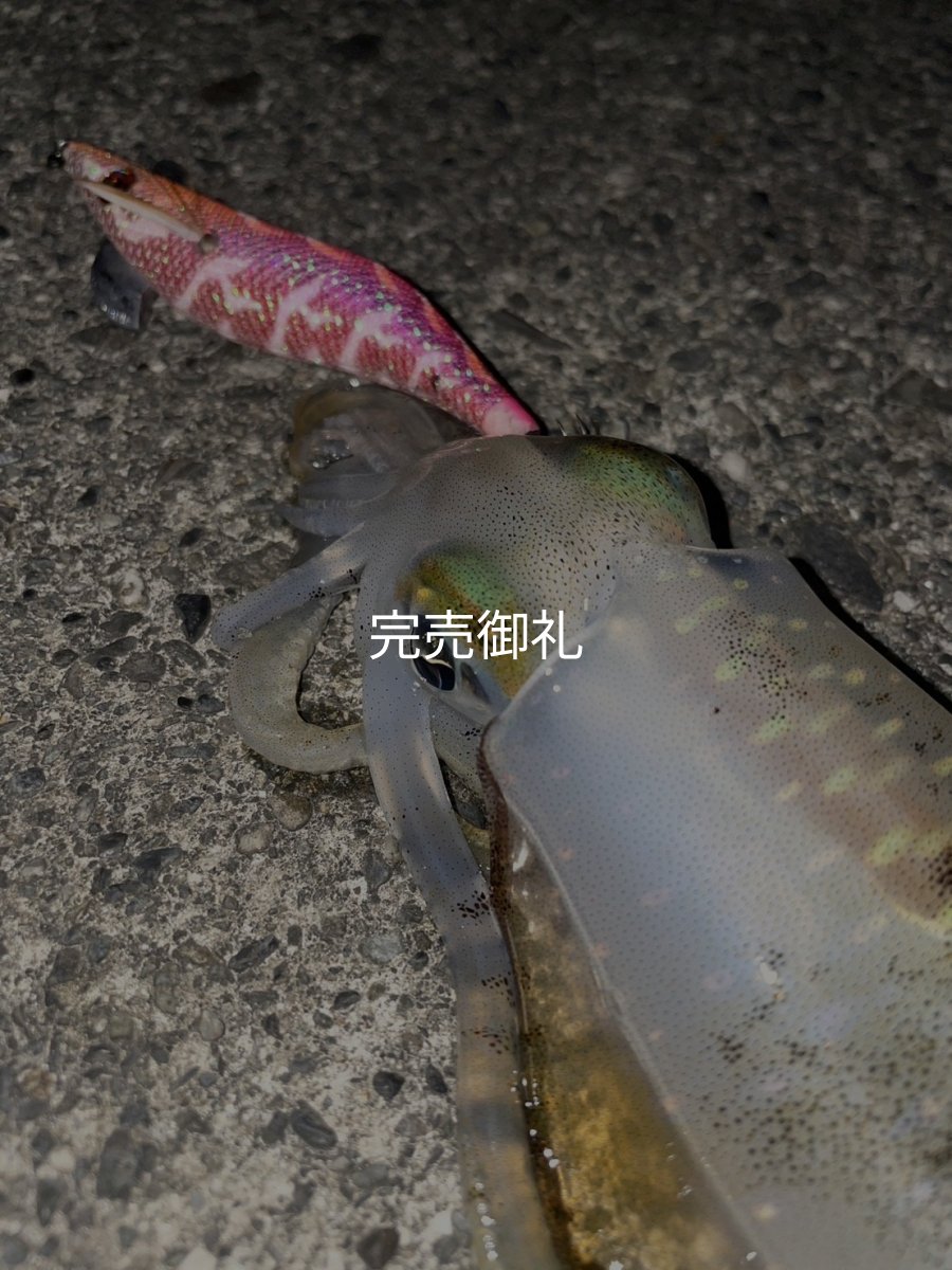 画像5: WILD CHASE 3.0号RTラトル モンスターピンク[特注:EGI MANIACS] (5)
