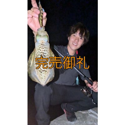 画像6: WILDCHASE 3.0号RTラトル /俺のGOLDパイソン/[特注:EGI MANIACS]