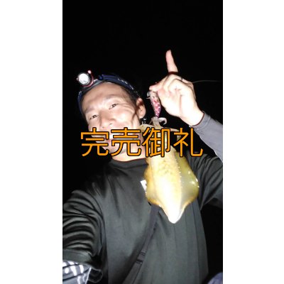 画像5: WILDCHASE 3.0号RTラトル/ 斑紫龍[特注:EGI MANIACS]