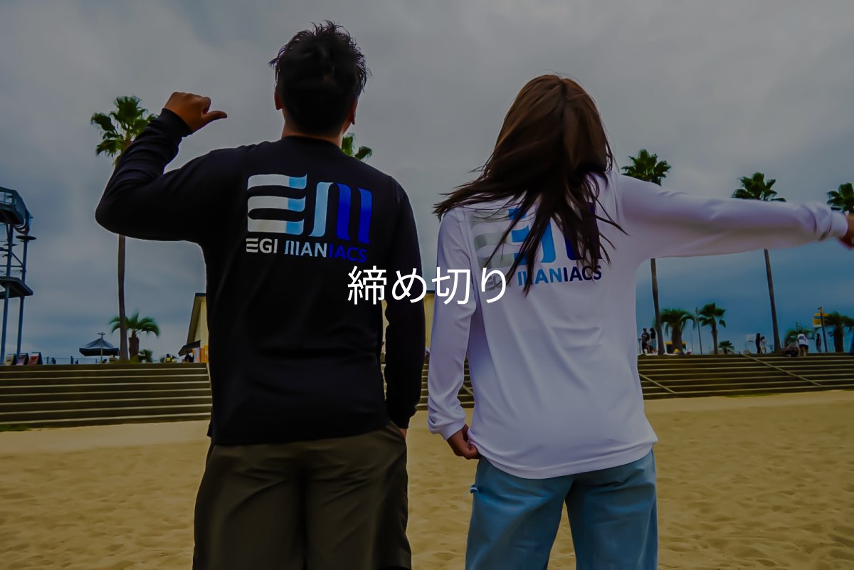 画像1: 受注生産  EGI MANIACS 『グラデーション』綿・シルキードライロンT (1)