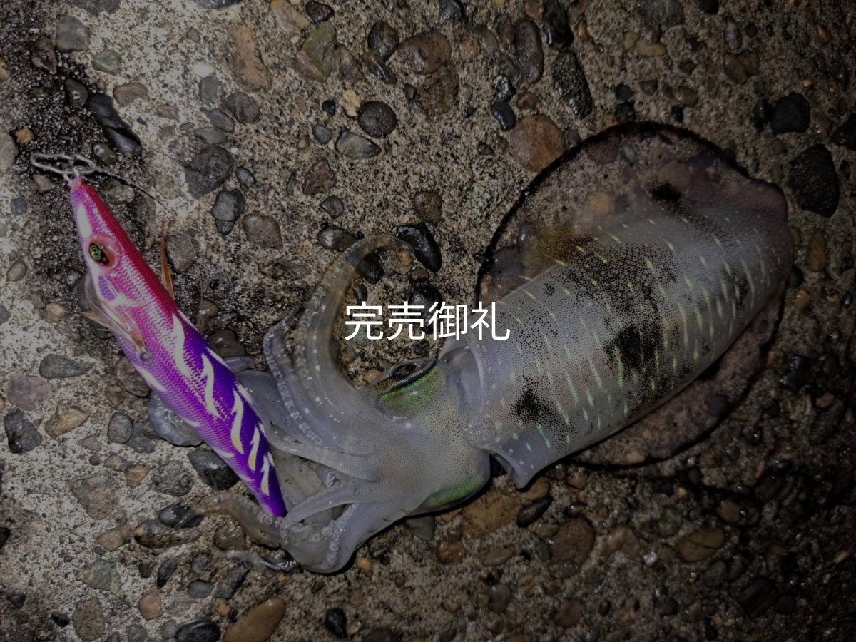 画像11: WILDCHASE 3.5号シャローtune/モンスターパープル [特注:EGI MANIACS] (11)