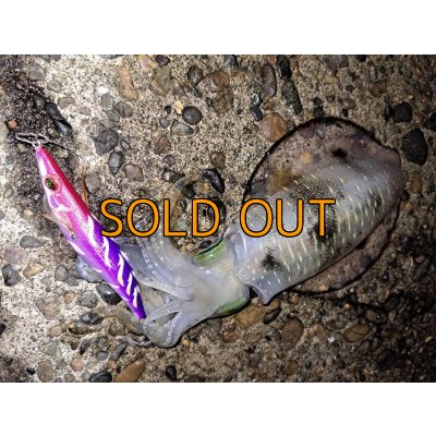 画像8: WILD CHASE 3.5号/モンスターパープル [特注:EGI MANIACS]