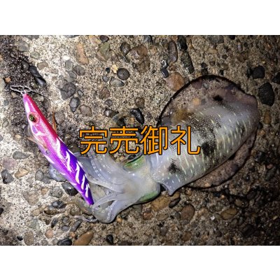 画像11: WILDCHASE 3.5号シャローtune/モンスターパープル [特注:EGI MANIACS]