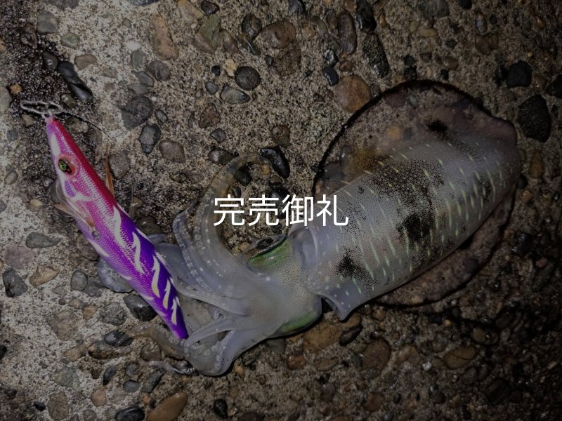WILD CHASE 3.0号RTラトル/モンスターパープル [特注:EGI MANIACS