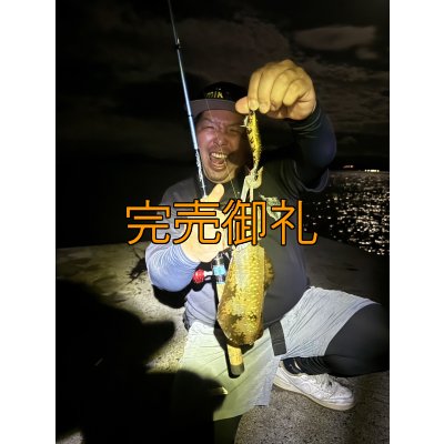 画像4: WILDCHASE 3.0号RTラトル /俺のGOLDパイソン/[特注:EGI MANIACS]