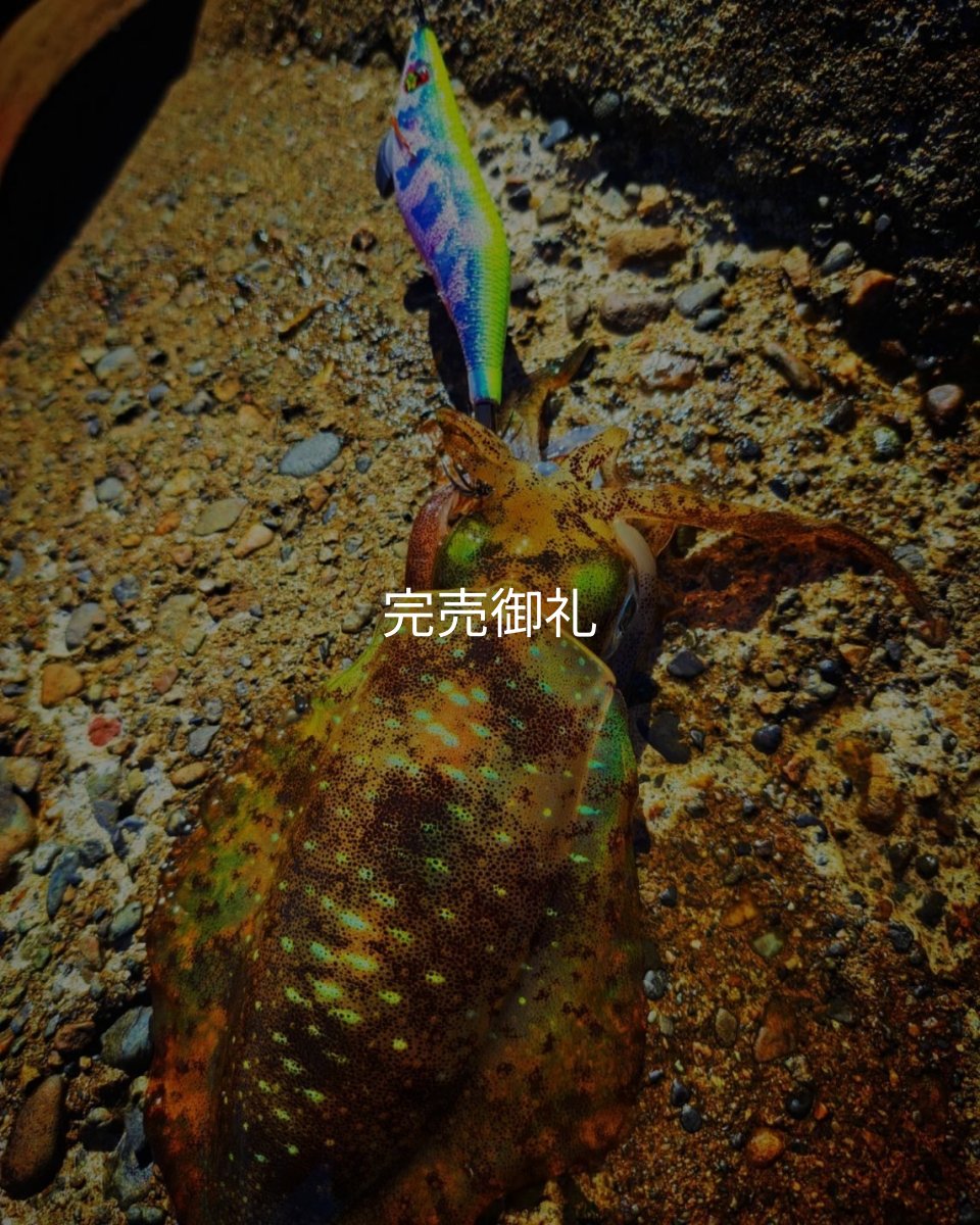 画像6: WILDCHASE 3.0号RTラトル /セナキスパイソン/UV[特注:EGI MANIACS] (6)