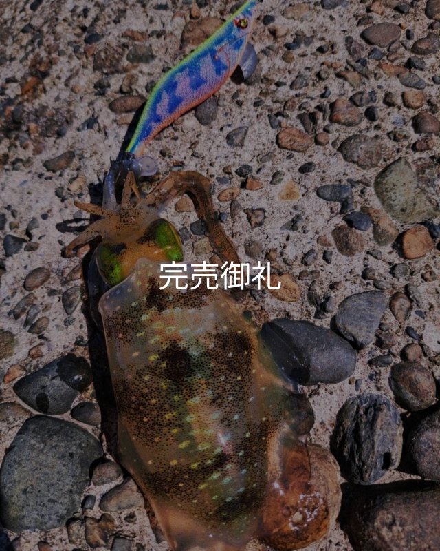 WILDCHASE 3.0号RTラトル /セナキスパイソン/UV[特注:EGI MANIACS
