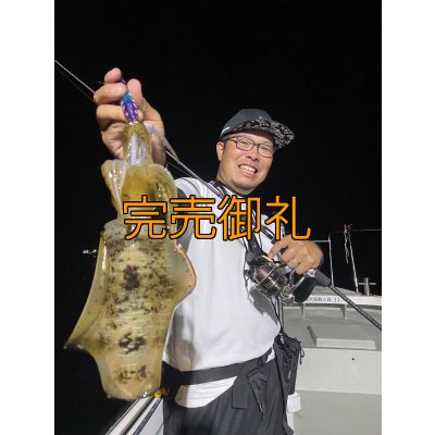 画像3: WILDCHASE 3.0号RTラトル/ 斑紫龍[特注:EGI MANIACS]