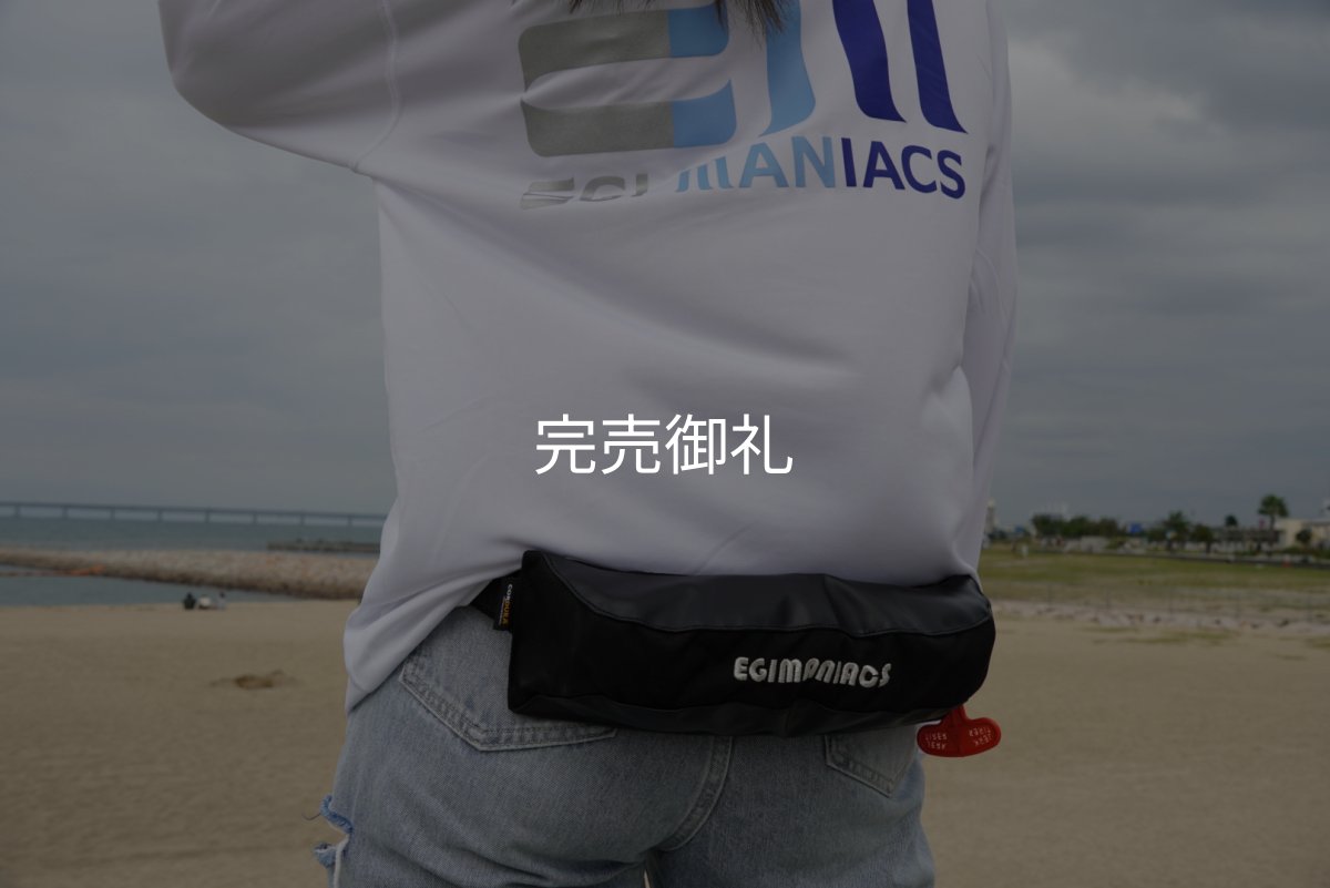 画像4: EGI MANIACS 腰巻タイプモーゲットウエスト 国土交通省型式承認品【別注ブルーストーム】 (4)
