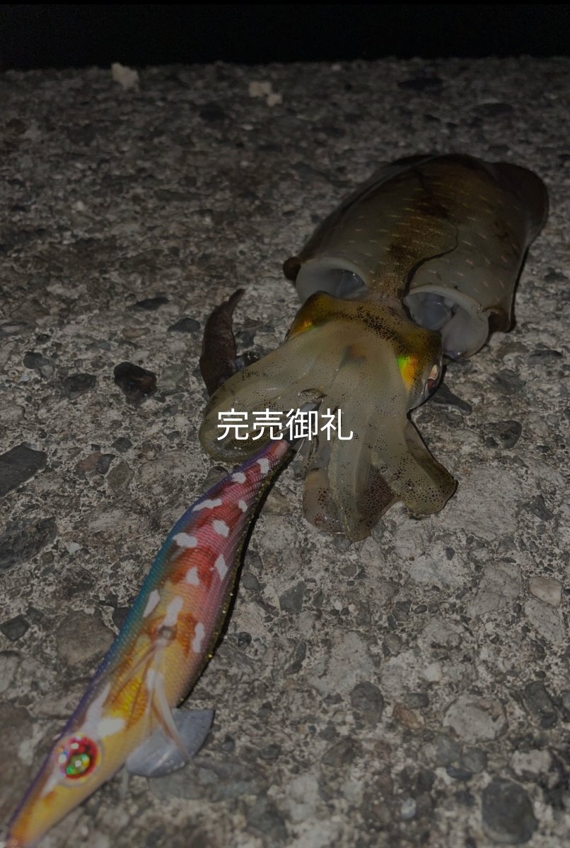画像7: WILDCHASE 3.0号RTラトル/ 斑紫龍[特注:EGI MANIACS] (7)