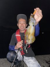 画像4: WILDCHASE 3.0号RTラトル / 斑赤龍/RED GLOW搭載[特注:EGI MANIACS] (4)