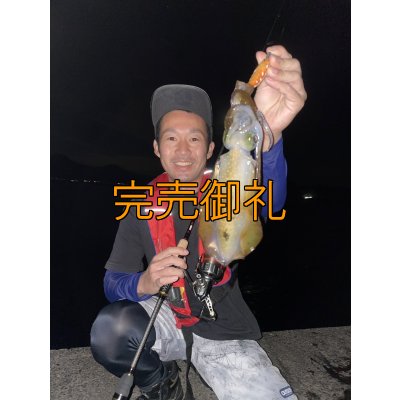 画像4: WILDCHASE 3.0号RTラトル / 斑赤龍/RED GLOW搭載[特注:EGI MANIACS]