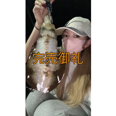 画像3: WILDCHASE 3.0号RTラトル/ 斑黒龍/RED GLOW搭載[特注:EGI MANIACS]