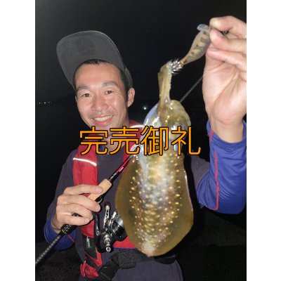 画像3: WILDCHASE 3.0号RTラトル /俺のGOLDパイソン/[特注:EGI MANIACS]