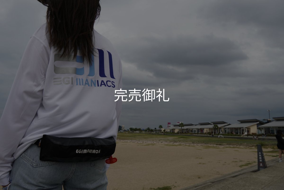 画像5: EGI MANIACS 腰巻タイプモーゲットウエスト 国土交通省型式承認品【別注ブルーストーム】 (5)