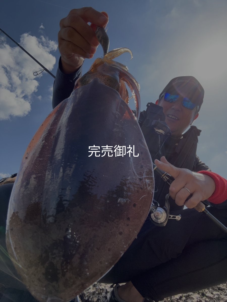 画像1: WILDCHASE 3.0号RTラトル /俺のGOLDパイソン/[特注:EGI MANIACS] (1)