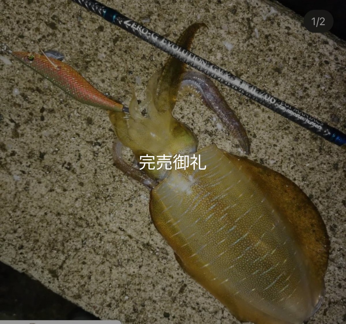 画像4: WILD CHASE 3.0号 アロワナゴールド（UV)[特注:87works] (4)