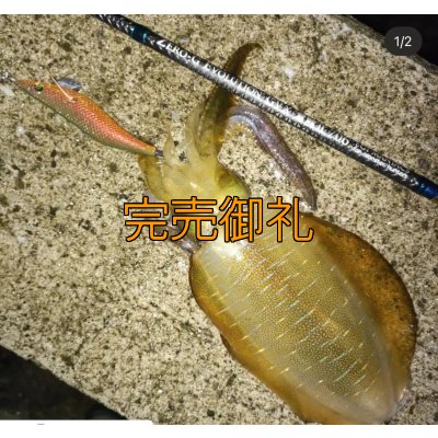 画像4: WILD CHASE 3.0号 アロワナゴールド（UV)[特注:87works]