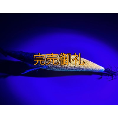 画像5: WILD CHASE 3.0号 アロワナゴールド（UV)[特注:87works]