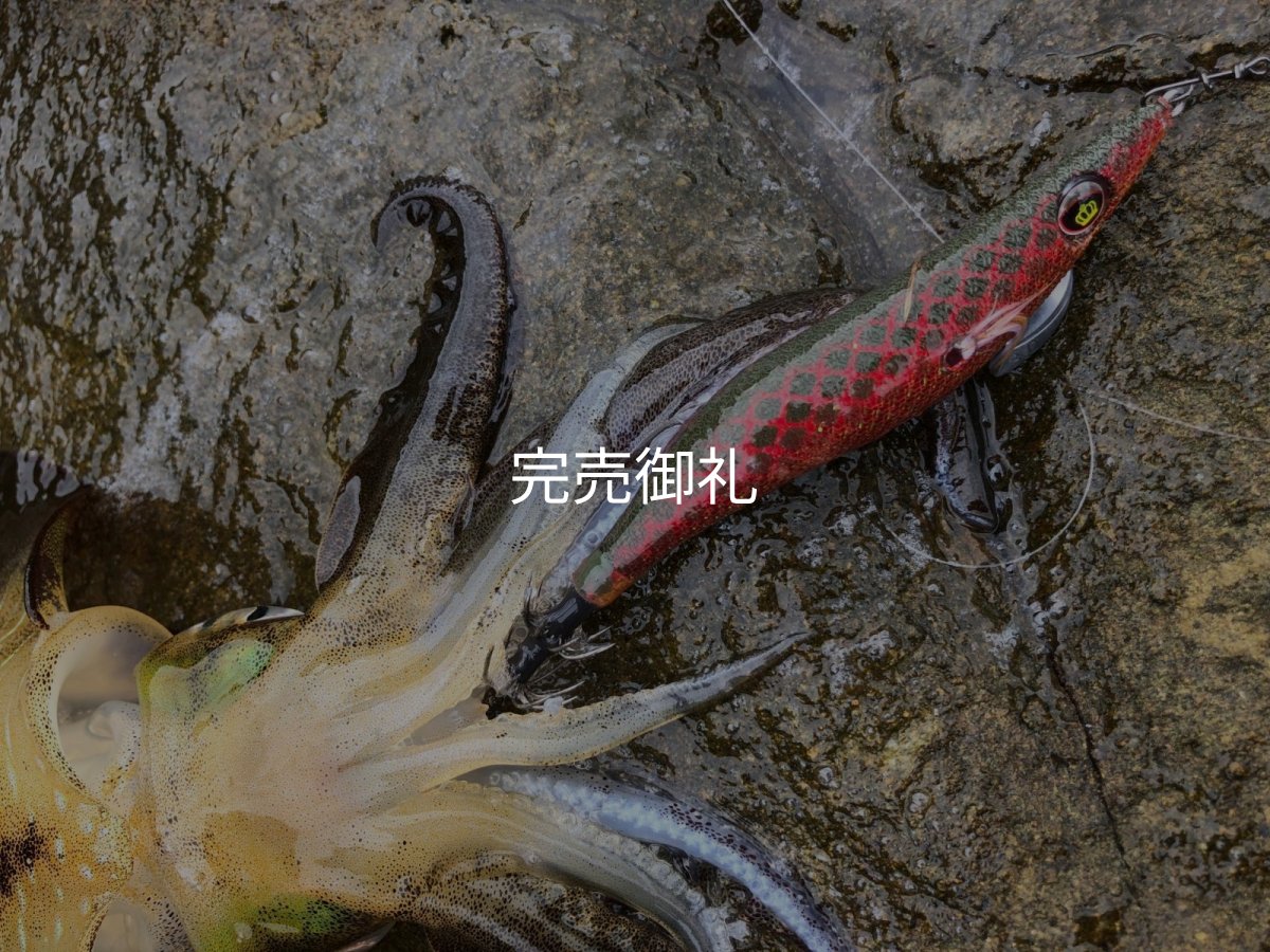 画像2: WILD CHASE 3.0号 アロワナレッド(UV)[特注:87works] (2)