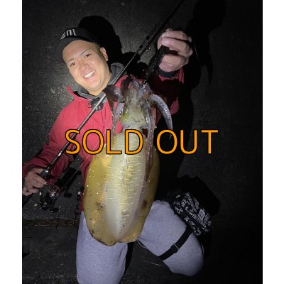 画像3: ★送料無料★エギマニ EM 3D刺繍/ストレッチキャップ(シルバー刺繍)