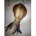 画像4: WILD CHASE/B-TR 3.5号 30ｇ/斑黒龍[特注:EGI MANIACS] (4)