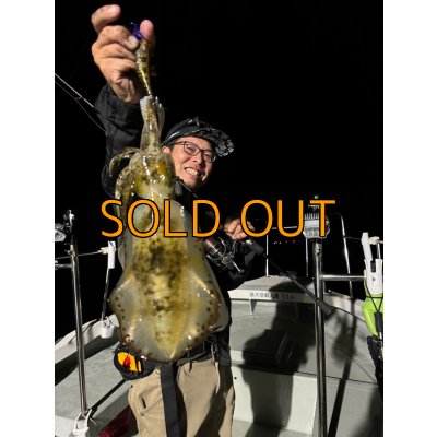 画像2: WILD CHASE/B-TR 3.5号 30ｇ/俺のGOLDパイソン[特注:EGI MANIACS]