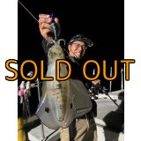 WILD CHASE/B-TR 3.5号 30ｇ/ブルーパイソン[特注:EGI MANIACS]