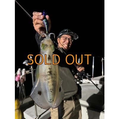 画像1: WILD CHASE/B-TR 3.5号 30ｇ/ブルーパイソン[特注:EGI MANIACS]