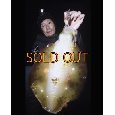 画像30: WILDCHASE 3.5号 /俺のGOLDパイソン/[特注:EGI MANIACS]