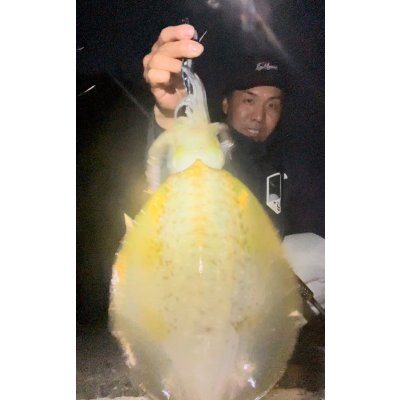 画像5: WILDCHASE 3.5号/ 斑黒龍/RED GLOW搭載[特注:EGI MANIACS]