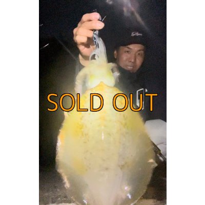 画像6: WILDCHASE 3.5号/ 斑黒龍/RED GLOW搭載[特注:EGI MANIACS]