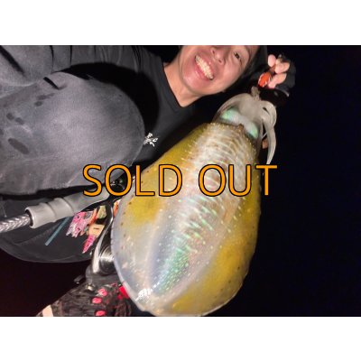 画像5: WILDCHASE 3.5号 / 斑赤龍/RED GLOW搭載[特注:EGI MANIACS]