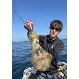 WILD CHASE/B-TR 3.5号 30ｇ/BTME02/モンスターオレンジ [特注:EGI MANIACS]