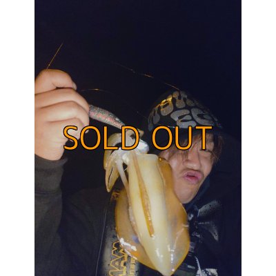 画像2: WILD CHASE 3.5号 モンスターブラック[特注:EGI MANIACS]