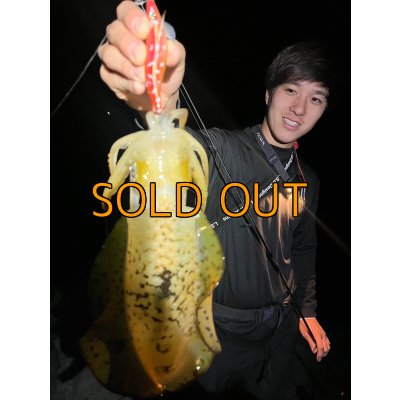 画像4: WILDCHASE 3.5号 / 斑赤龍/RED GLOW搭載[特注:EGI MANIACS]