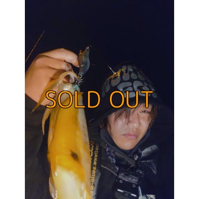 画像12: WILD CHASE 3.5号 モンスターブラック[特注:EGI MANIACS]