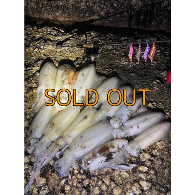 画像12: WILDCHASE 3.5号 / 斑赤龍/RED GLOW搭載[特注:EGI MANIACS]