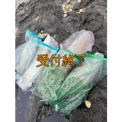 画像22: 第５回エギマニ ダービー in和歌山 ガチBATTLE！！