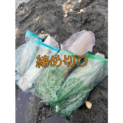 画像4: 第４回エギマニ ダービー in和歌山 ガチBATTLE！！