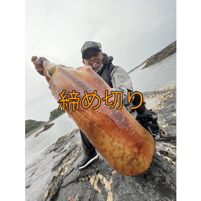 画像3: 第４回エギマニ ダービー in和歌山 ガチBATTLE！！