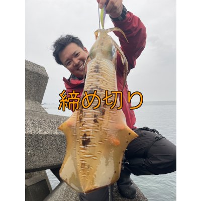 画像7: 第４回エギマニ ダービー in和歌山 ガチBATTLE！！