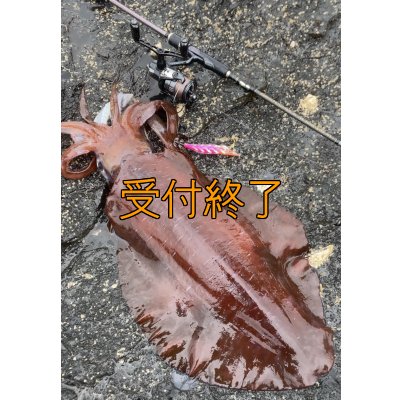 画像17: 第５回エギマニ ダービー in和歌山 ガチBATTLE！！