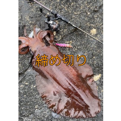 画像6: 第４回エギマニ ダービー in和歌山 ガチBATTLE！！