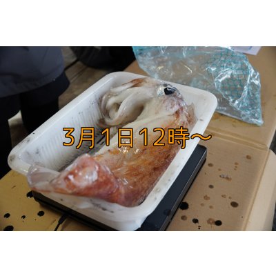 画像16: 第５回エギマニ ダービー in和歌山 ガチBATTLE！！