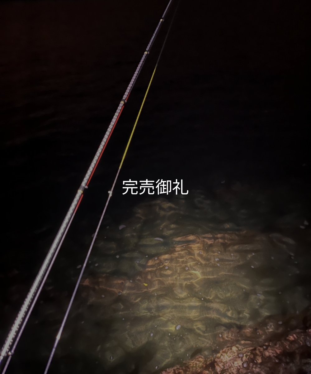 画像8: X8-PE 0.5-210m 【Vertical Eyes】SS×R×Y (8)